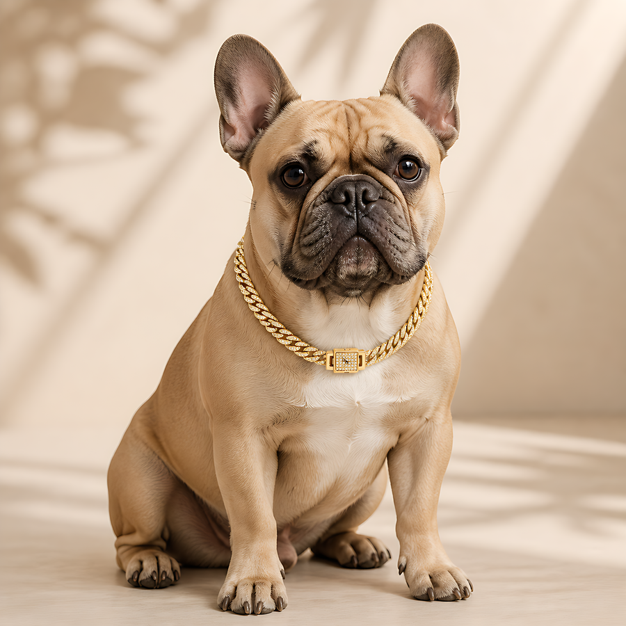 AI styling preview of a small French bulldog wearing the Mini Iced 12mm Cuban Pet Necklace