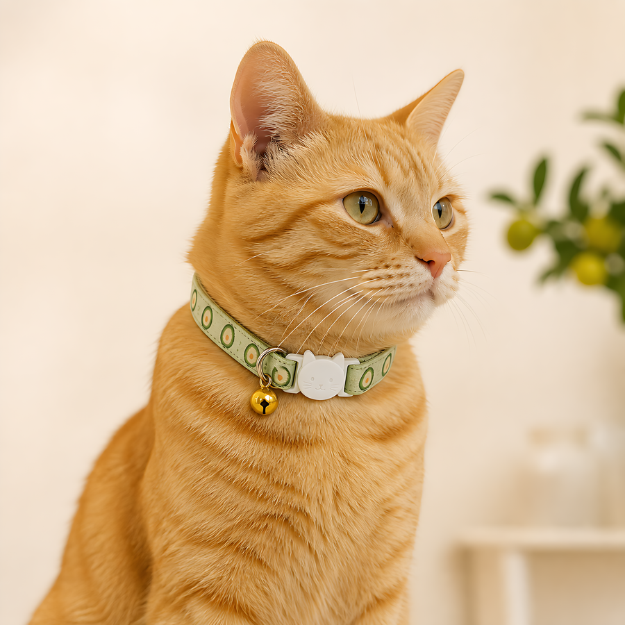 AI styling preview of an orange tabby cat wearing the Orchard Pop Breakaway Cat Collar