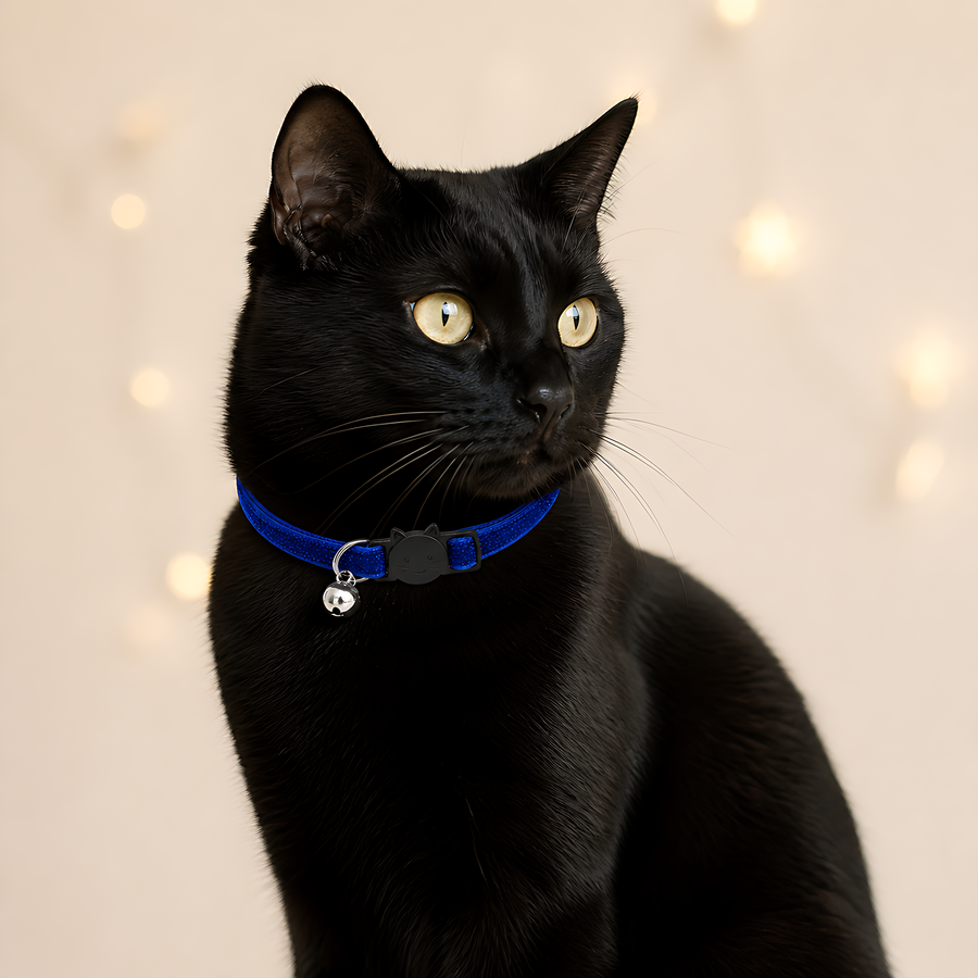 AI styling preview of a black cat wearing the Stardust Velvet Breakaway Cat Collar